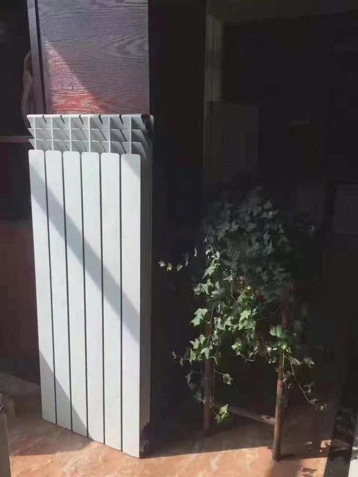 Die-cast Aluminum Radiator